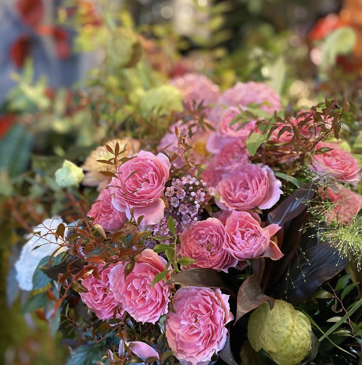 11月のおすすめ バラ | 株式会社グリーンロード株式会社グリーンロード